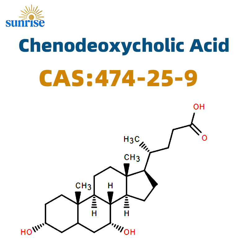 Chenodeoxycholic Acid (CDCA) CAS 474-25-9 | Bile Acid Intermediate Factory