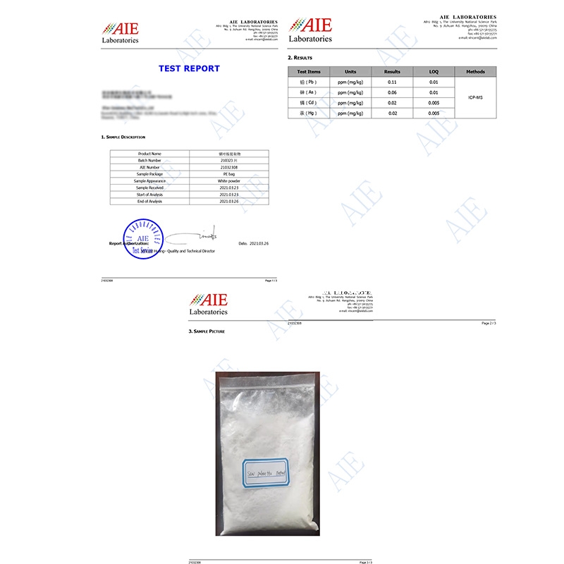 AIE ICP-MS heavy metal test Document7